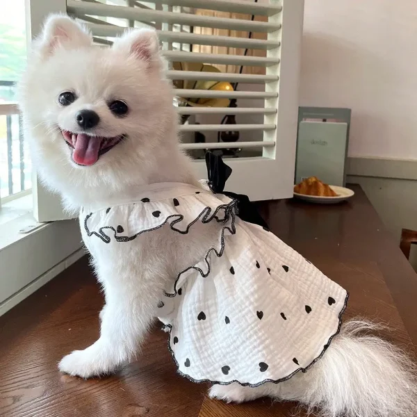Black Bow Pet Dress